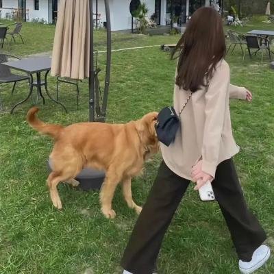 逆袭