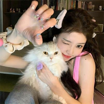 肥猫斗小强电影版